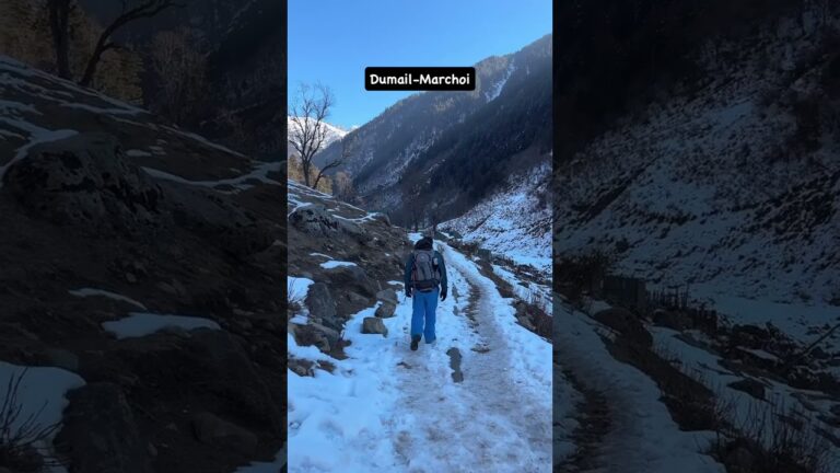 Get ready for an unforgettable trek with Wildfloc. Book your trek now !