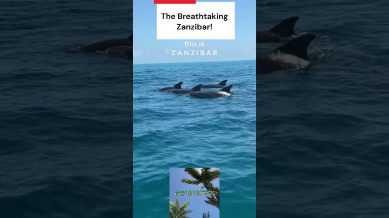 Discovering Zanzibar: Our Unforgettable Travel Experience Beyond Expectations