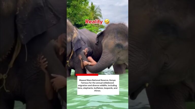 Instagram vs Reality Unforgettable Safari Encounters | Beyond the Filter |Travel Guide