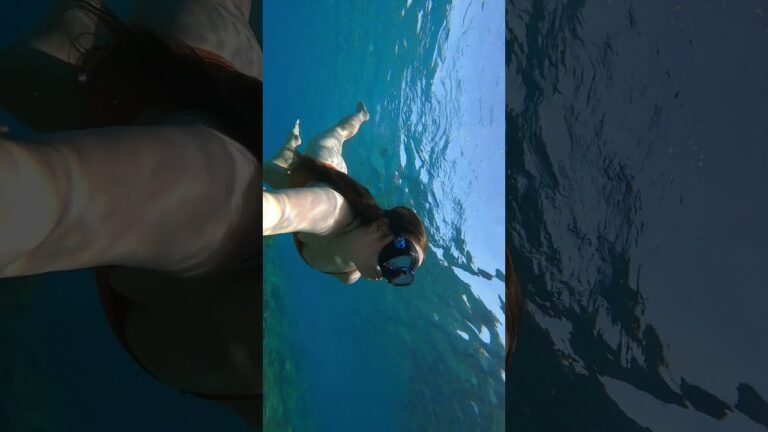 My Top Picks for an Unforgettable Tenerife Adventure 🌋