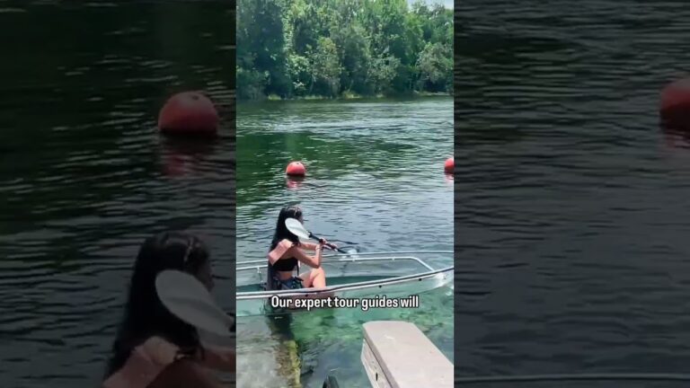 Make your 2025 Spring Break unforgettable with a one-of-a-kind Florida adventure! Explore the